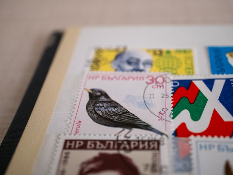 Özel Kesim Sticker